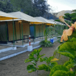 Green Ganga Adventure Camp – Where Adventure Meets Serenity