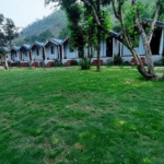 Camp TreePie – A Calm Hideaway in the Lap of Nature