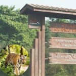 Rajaji National Park – A Wilderness Escape into Nature’s Heart