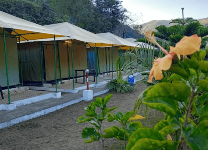 Green Ganga Adventure Camp – Where Adventure Meets Serenity